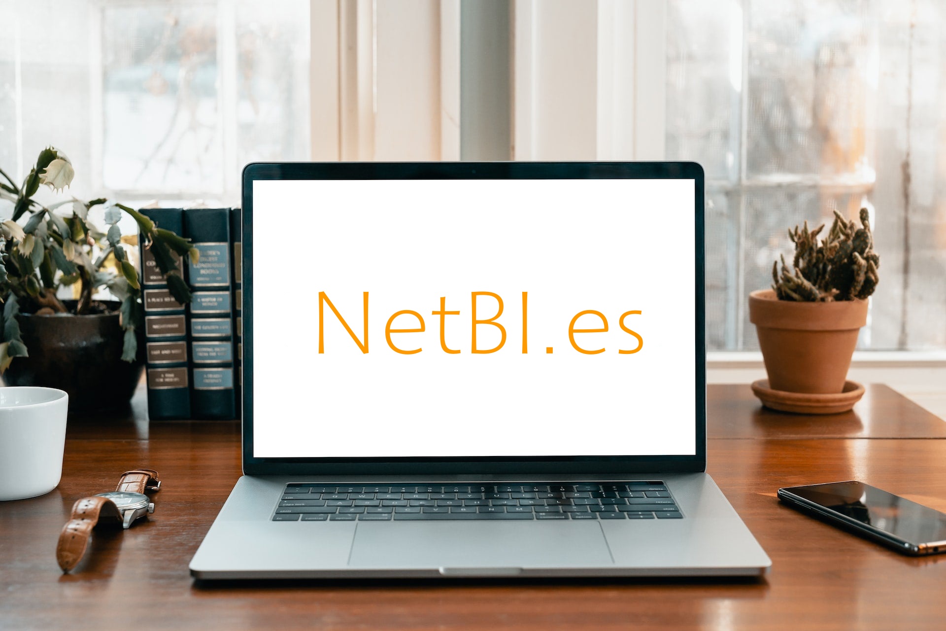 ¿Por qué elegir NetBI.es?